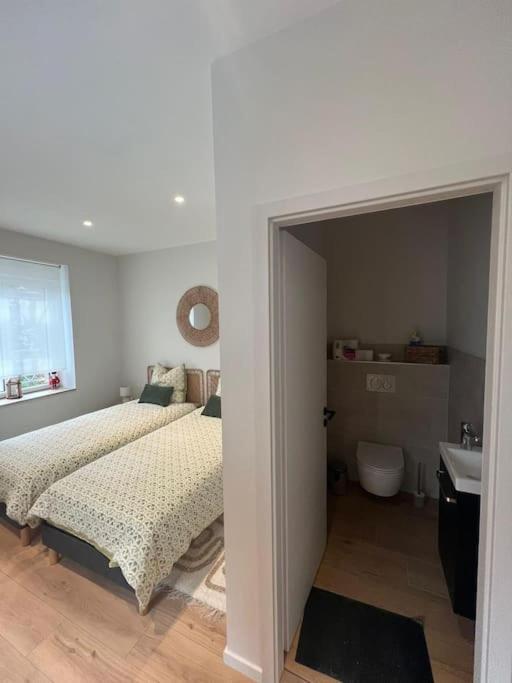 Colmar Centre - Le Schickele Apartment ภายนอก รูปภาพ