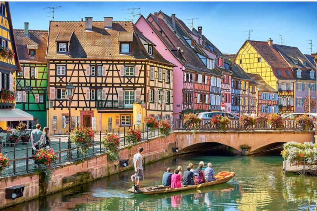 Colmar Centre - Le Schickele Apartment ภายนอก รูปภาพ