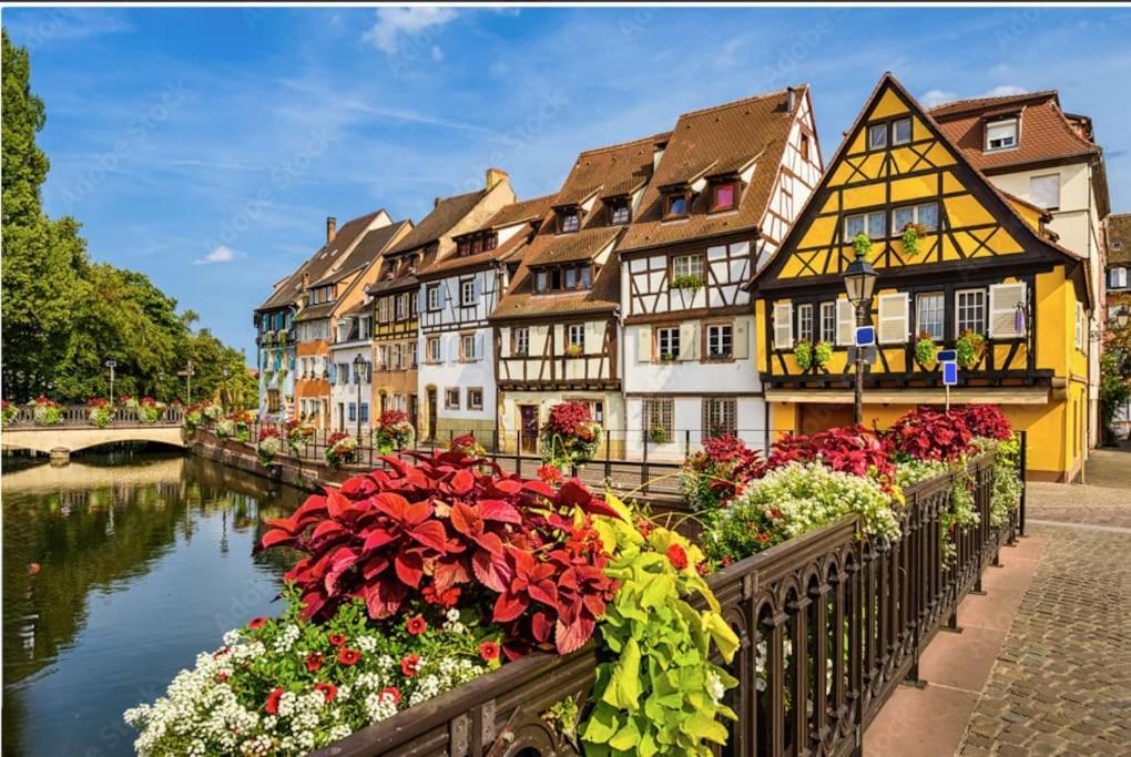 Colmar Centre - Le Schickele Apartment ภายนอก รูปภาพ
